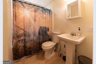 444 Miners Mountain Road, Sautee Nacoochee, GA 30571 - Photo 37