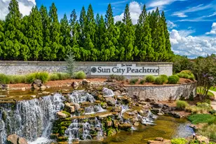 901 Coffee Berry Ct, Griffin, GA 30223 - Photo 37