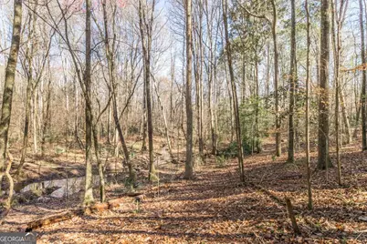 1751 Ga Highway 247 S, Kathleen, GA 31047 - Photo 53