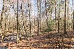 1751 Ga Hwy 247 S, Kathleen, GA 31047 - Photo 53