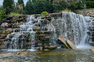 563 Hornbeam Dr, Griffin, GA 30223 - Photo 81