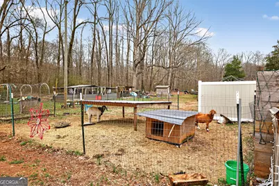 1719 Harber Road, Carnesville, GA 30521 - Photo 47