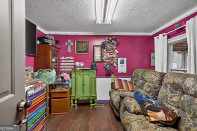 1719 Harber Road, Carnesville, GA 30521 - Photo 29