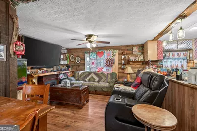 1719 Harber Road, Carnesville, GA 30521 - Photo 19