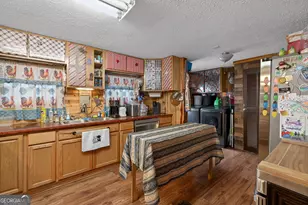 1719 Harber Rd, Carnesville, GA 30521 - Photo 33