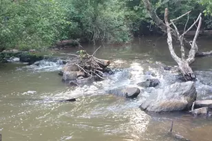 1719 Harber Rd, Carnesville, GA 30521 - Photo 49