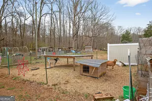 1719 Harber Rd, Carnesville, GA 30521 - Photo 17