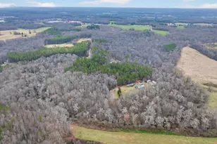 1719 Harber Rd, Carnesville, GA 30521 - Photo 9