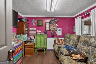 1719 Harber Rd, Carnesville, GA 30521 - Photo 37