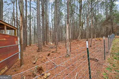 1719 Harber Road, Carnesville, GA 30521 - Photo 35