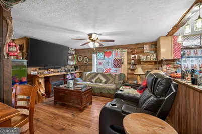 1719 Harber Road, Carnesville, GA 30521 - Photo 29