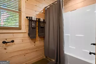 263 Windy Valley Ln, Blue Ridge, GA 30513 - Photo 21