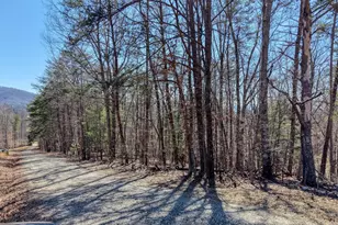 3 46 Acres Smokey Hills, Blairsville, GA 30512 - Photo 1
