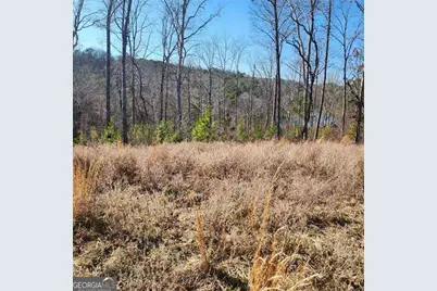 Lot 163 Lecroy Drive, Ellijay, GA 30540 - Photo 7