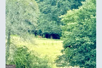 7 Red Rose Court, Nicholson, GA 30565 - Photo 9