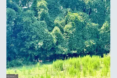 7 Red Rose Court, Nicholson, GA 30565 - Photo 5