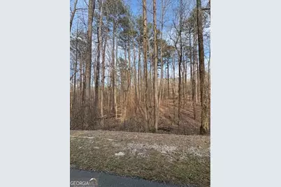 0 Cascade Palmetto Highway, Fairburn, GA 30213 - Photo 1