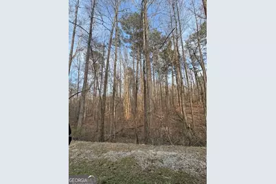 0 Cascade Palmetto Highway, Fairburn, GA 30213 - Photo 3