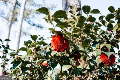 119 Ralph Bridges Road, Lexington, GA 30648 - Photo 45