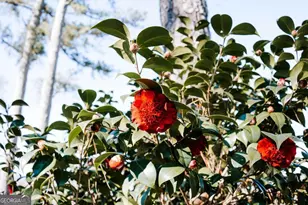 119 Ralph Bridges Rd, Lexington, GA 30648 - Photo 45