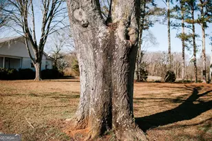 119 Ralph Bridges Rd, Lexington, GA 30648 - Photo 15