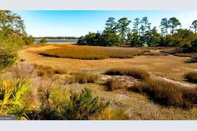 0 Cattle Hammock Road, Midway, GA 31320 - Photo 9