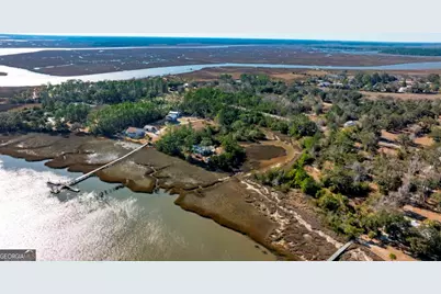 0 Cattle Hammock Road, Midway, GA 31320 - Photo 7