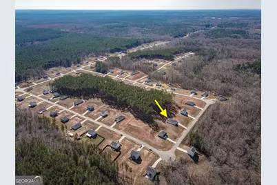 1617 Hunter Welch Parkway, Luthersville, GA 30251 - Photo 3