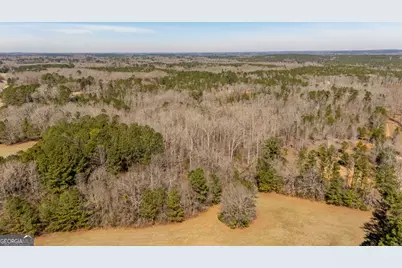 0 Hamlin Road, Jackson, GA 30233 - Photo 13