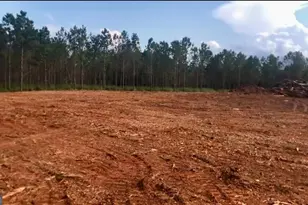 0 Sanford Rd, Nicholson, GA 30565 - Photo 1