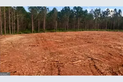 0 Sanford Road, Nicholson, GA 30565 - Photo 3