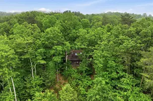 79 Laurel Ridge Way, Blue Ridge, GA 30513 - Photo 7
