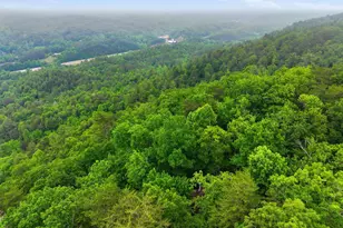 79 Laurel Ridge Way, Blue Ridge, GA 30513 - Photo 5