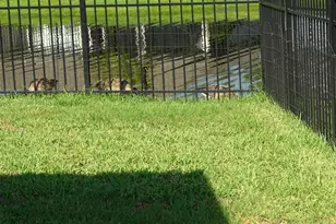 132 Ryan Nicholas Dr, Kingsland, GA 31548 - Photo 43