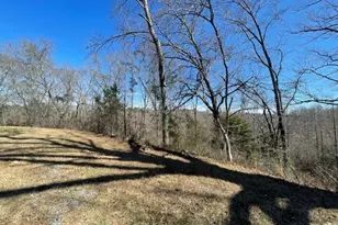 6070 Riggins Mill Rd, Dry Branch, GA 31020 - Photo 17