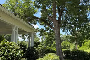 101 Harvey St, Dexter, GA 31019 - Photo 57