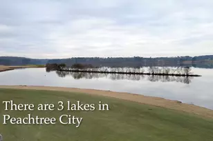 3045 State St, Peachtree City, GA 30269 - Photo 35