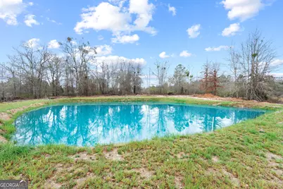 29 Purvis Lane, McRae-Helena, GA 31055 - Photo 43