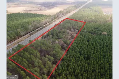 10.00 Ac Highway 341, Odum, GA 31555 - Photo 3