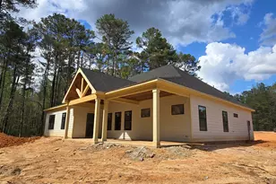 3801 Hutcheson Ferry Rd, Whitesburg, GA 30185 - Photo 3