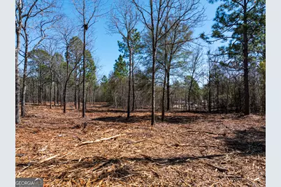 10.51 Acres River Road LOT #1, Waynesboro, GA 30830 - Photo 9