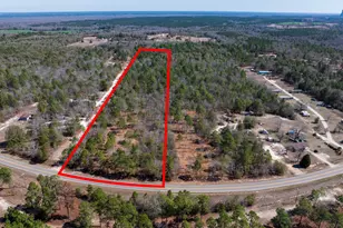10 51 Acres River Rd, Waynesboro, GA 30830 - Photo 1