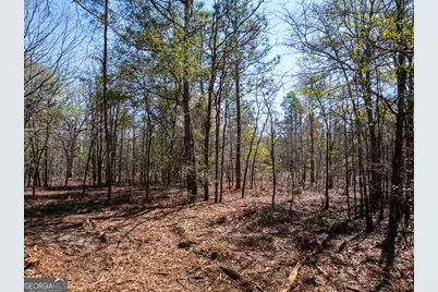 10.51 Acres River Road LOT #1, Waynesboro, GA 30830 - Photo 21
