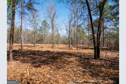 10.51 Acres River Road LOT #1, Waynesboro, GA 30830 - Photo 7