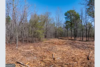 10.51 Acres River Road LOT #1, Waynesboro, GA 30830 - Photo 13
