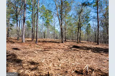 10.5 Acres River Road LOT #2, Waynesboro, GA 30830 - Photo 21