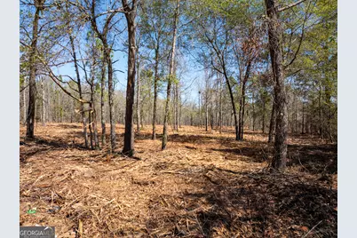 10.5 Acres River Road LOT #2, Waynesboro, GA 30830 - Photo 9