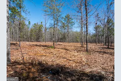 10.5 Acres River Road LOT #2, Waynesboro, GA 30830 - Photo 15
