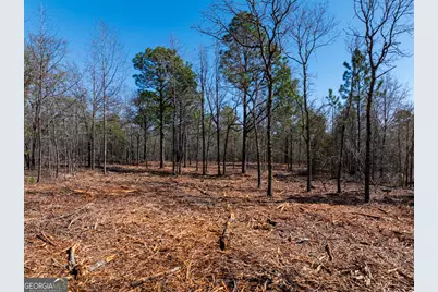 10.5 Acres River Road LOT #2, Waynesboro, GA 30830 - Photo 5