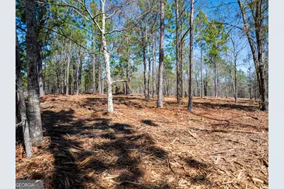 10.5 Acres River Road LOT #2, Waynesboro, GA 30830 - Photo 19